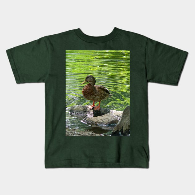 Birds - Duck on Rocks Kids T-Shirt by SusanSavad